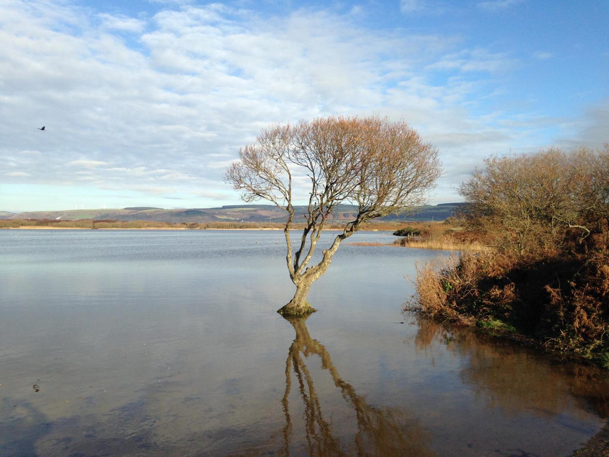 Kenfig Farm Βίλα Bridgend  Εξωτερικό φωτογραφία