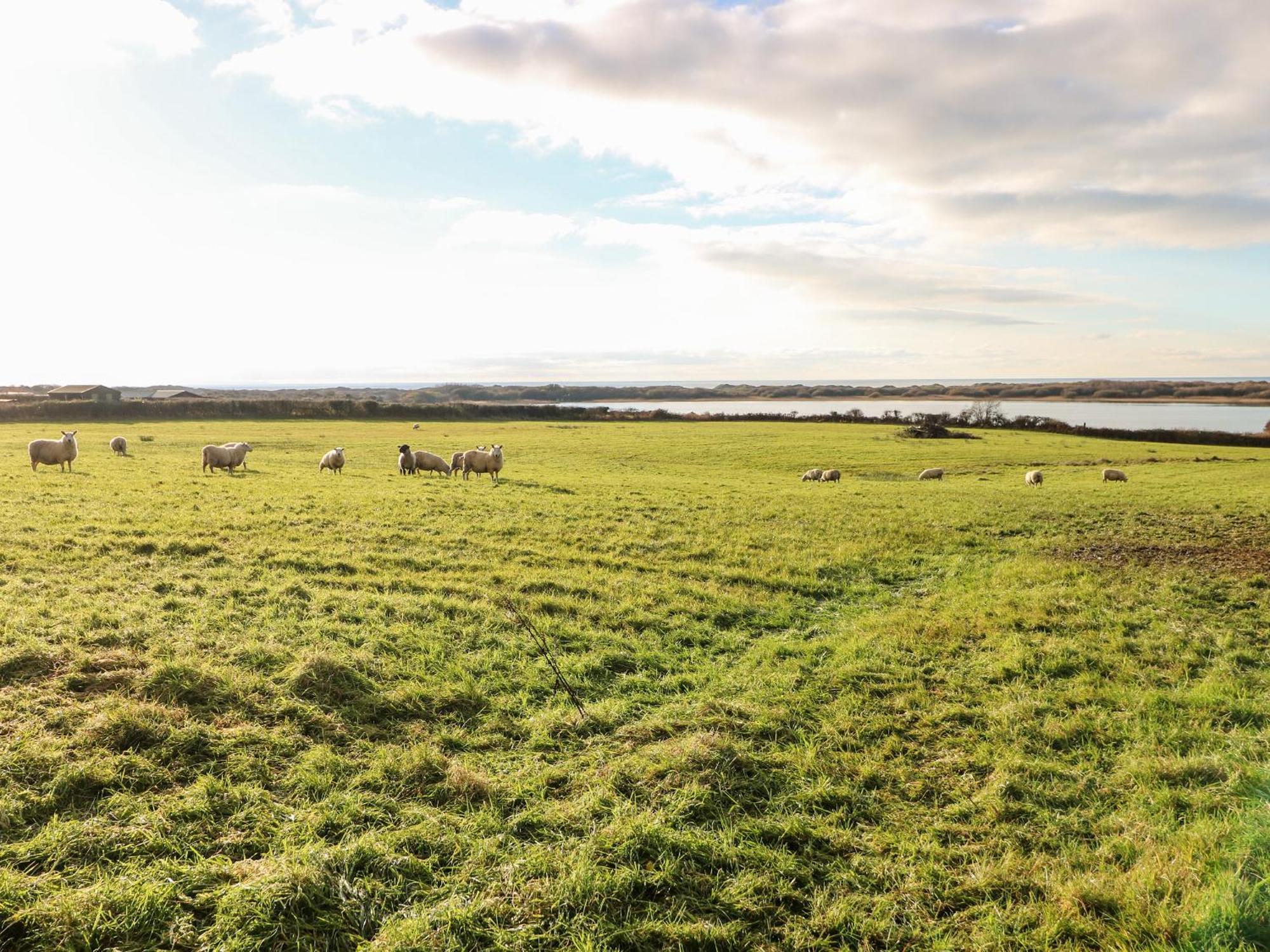 Kenfig Farm Βίλα Bridgend  Εξωτερικό φωτογραφία